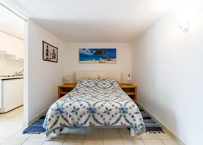 Spacious Semidetached House With Garden & Terrace Grimaud